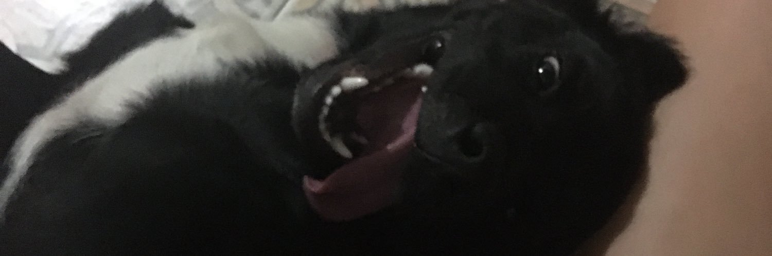 bcammq's profile banner image