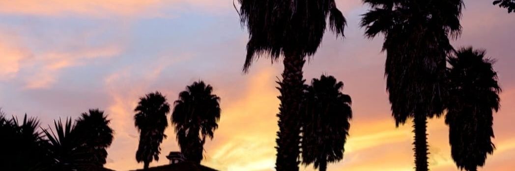 Denixxela's profile banner image