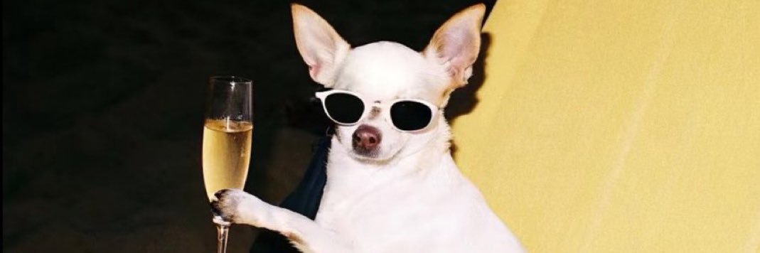 mirandamueller_'s profile banner image