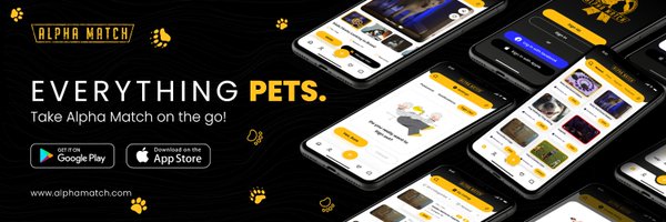 AlphaMatch Profile Banner