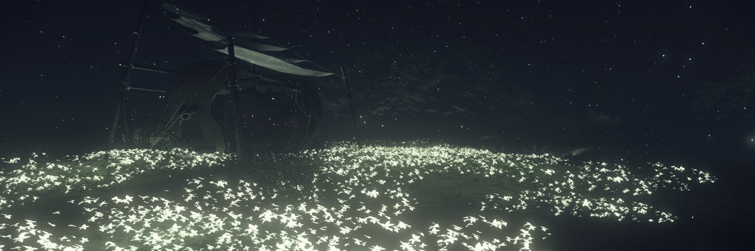 LyrioFlwr's profile banner image