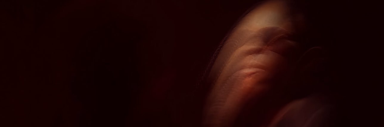 oxsker's profile banner image