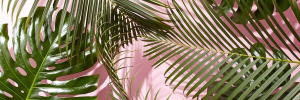 denisepraill Profile Banner