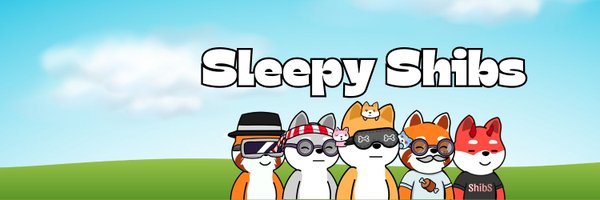 Sleepy Shibs #SleepyShibs Profile Banner