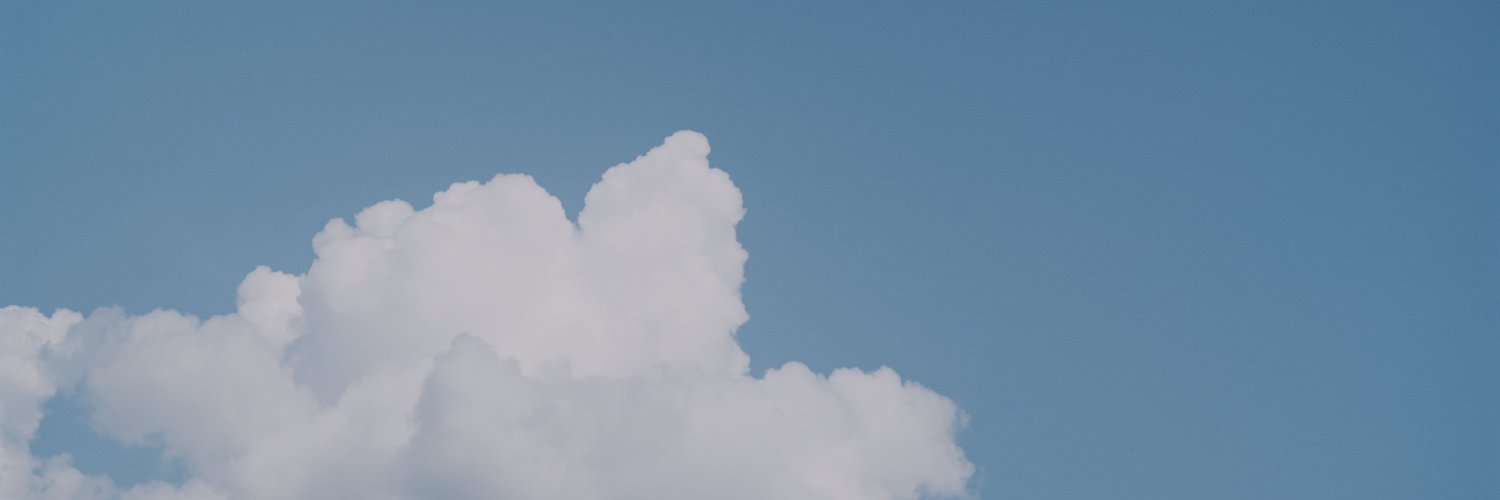 씨네소파 배급 일기 banner