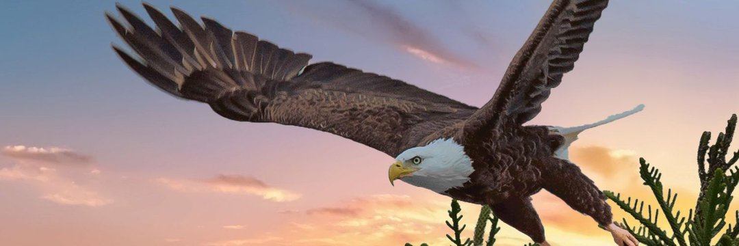 SethSeyfert's profile banner image