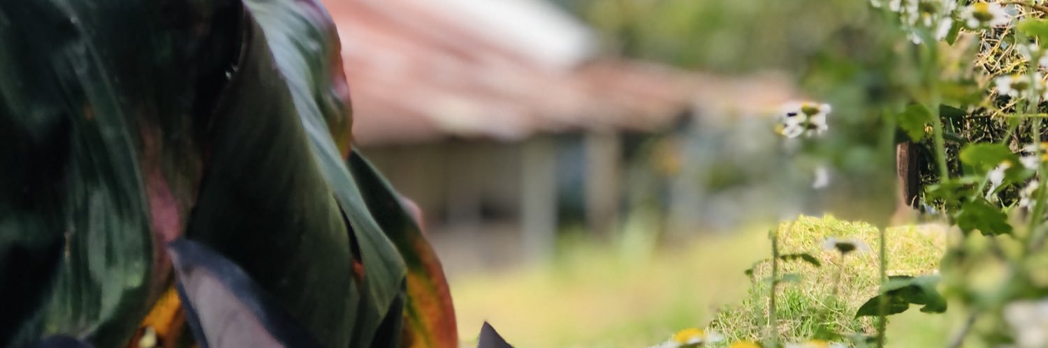elcalvo_10's profile banner image