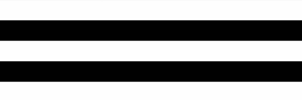 WhiteAmerica banner