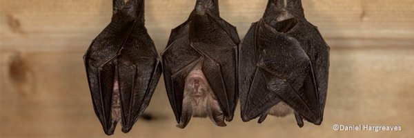 BATMAN_LHB Profile Banner