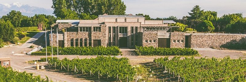 Bodegas Bianchi banner