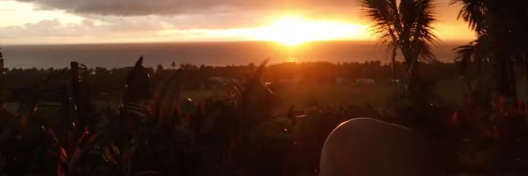 jhayarcinno's profile banner image