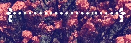xoe's profile banner image