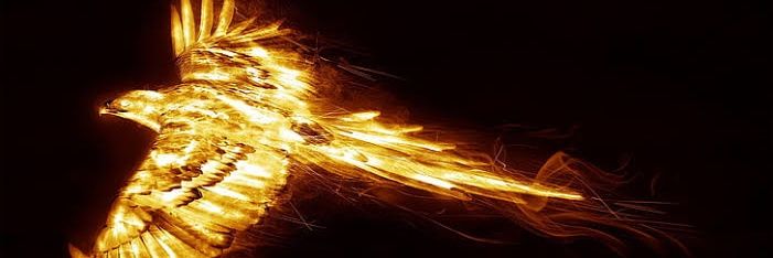 rahul99399kumar's profile banner image