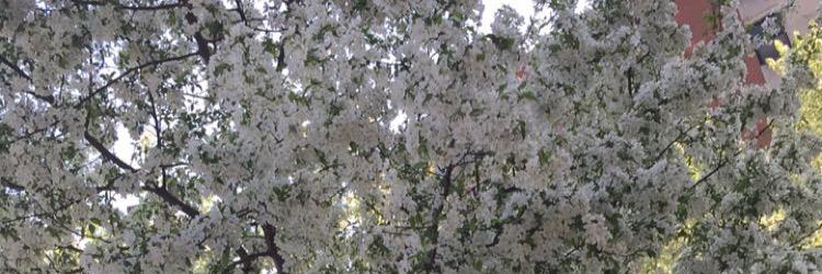 cwmadison123's profile banner image