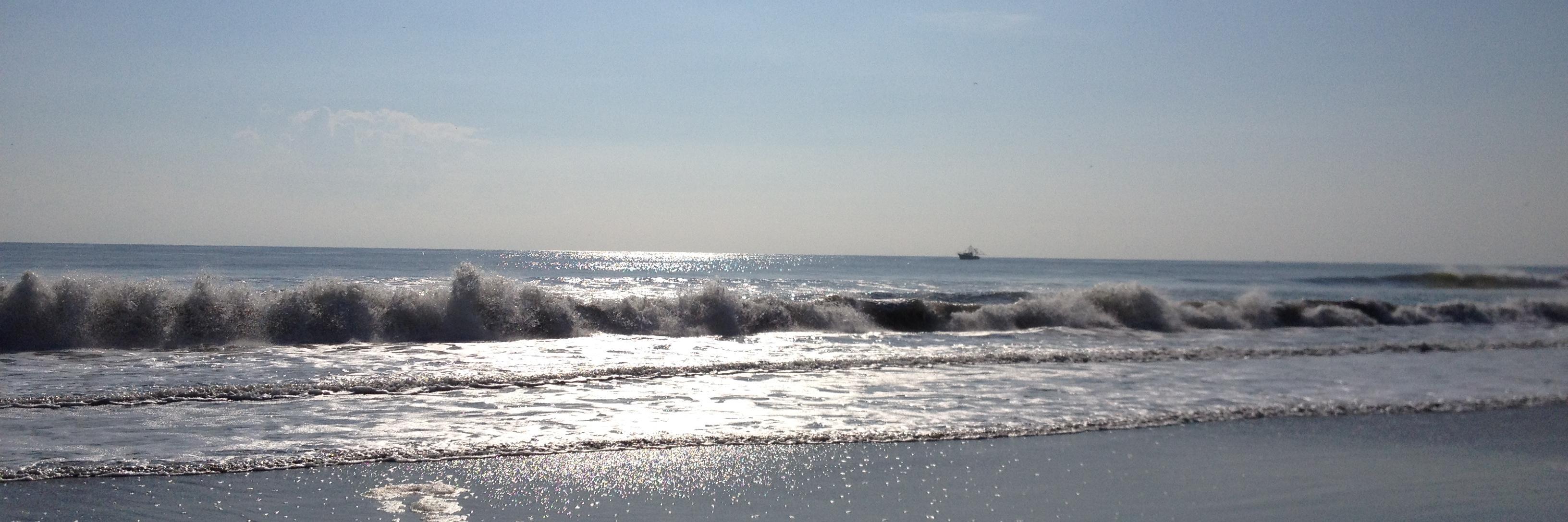 Katy Traffanstedt Duffield banner