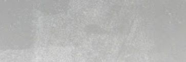 sartoriuss banner