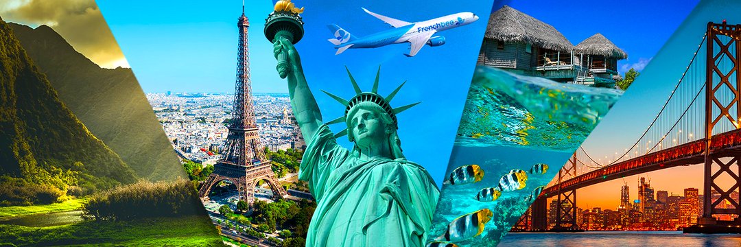 French bee✈️ banner