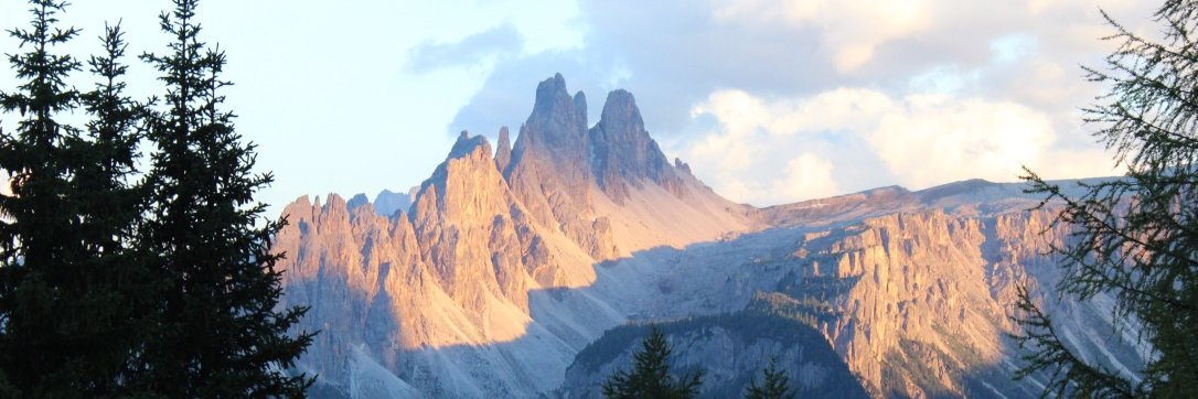 Massimo Lollini banner