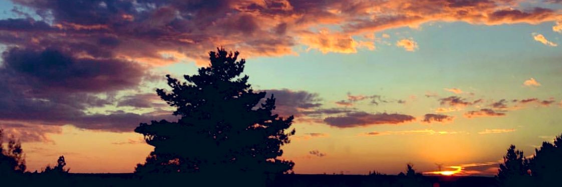 Consuelo Ferrer banner