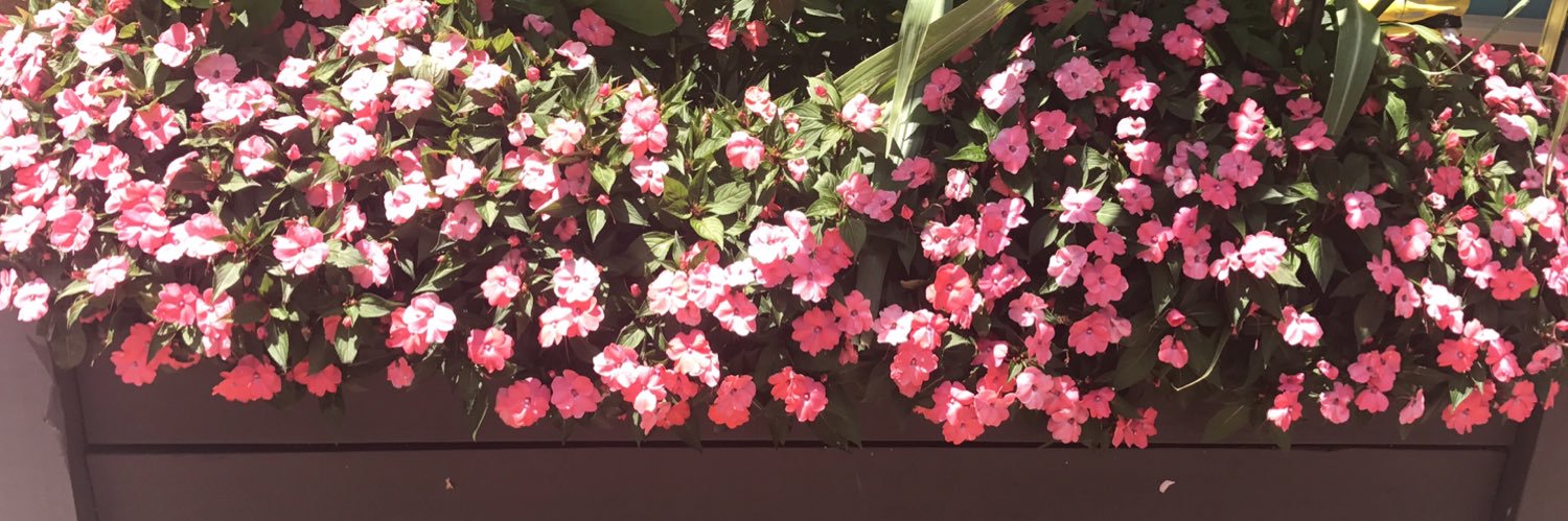 kailey_mae18's profile banner image