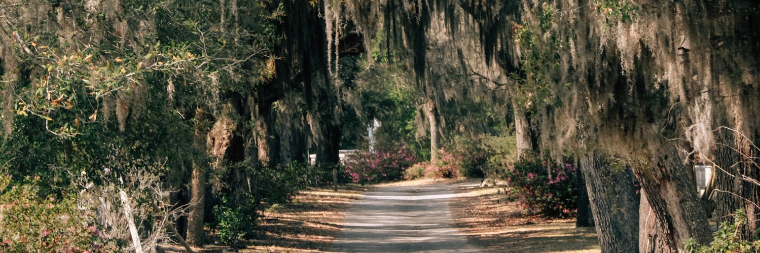 ReesePollock's profile banner image