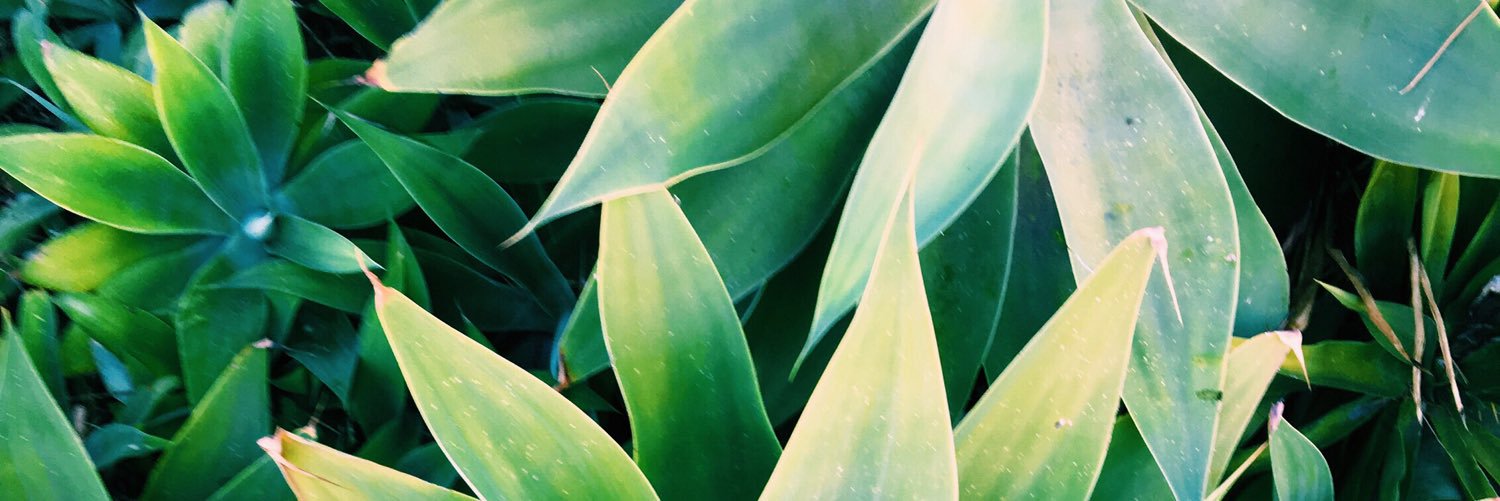 TudorRobb's profile banner image