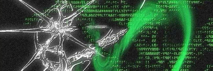 laudybr's profile banner image