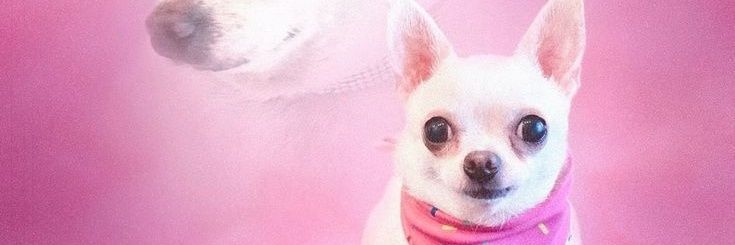 akuwna yg manchildphobic banner