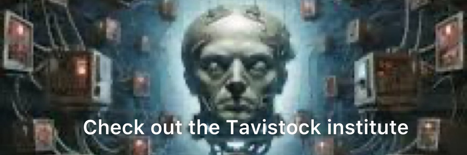 CHECK OUT THE TAVİSTOCK İNSTİTUTE banner