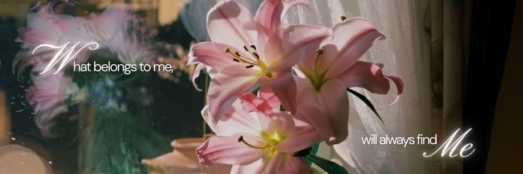 mishee ☘️ LOCK IN!! banner