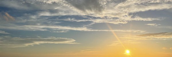 ShannonLovett Profile Banner