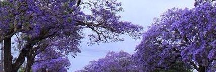 إٍِلےـهےـِاَمے 🫧 banner