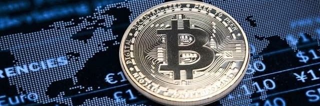 Coin.Shark.Btc banner