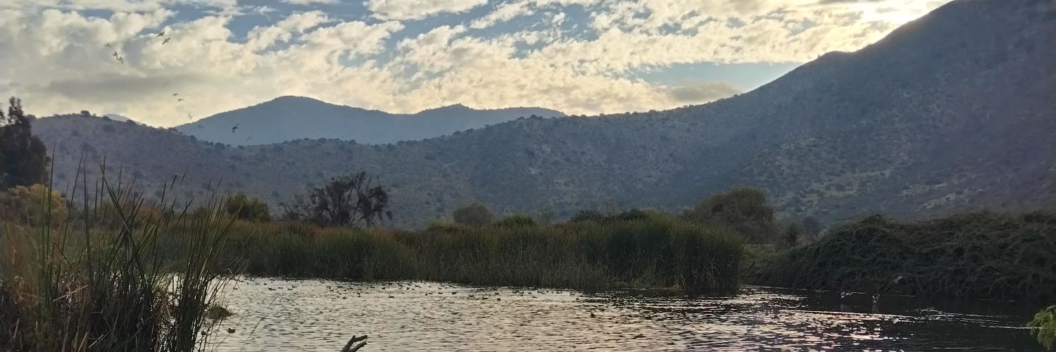 DaniloRomano13's profile banner image