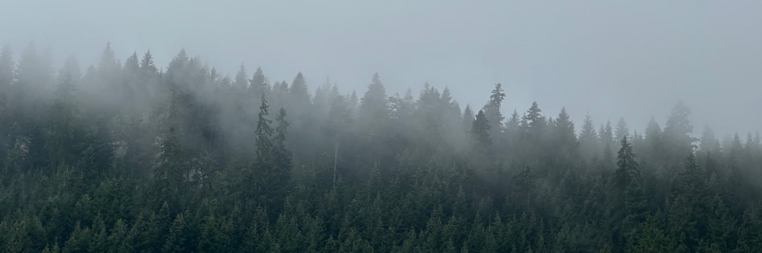 Marwan A. Almalki banner