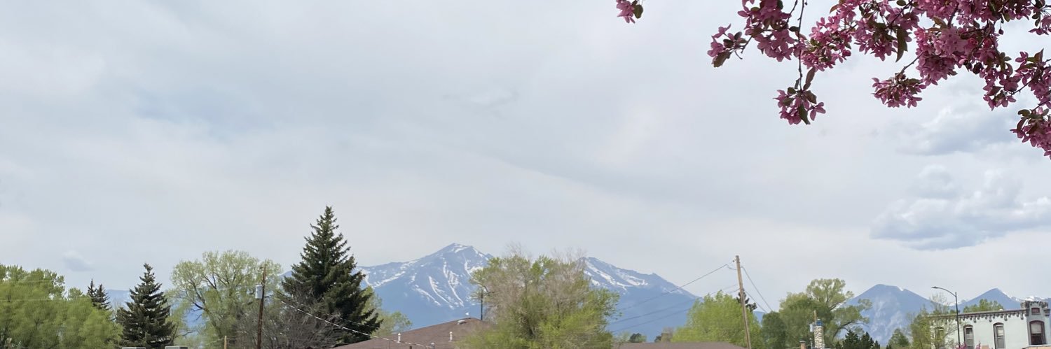 abigailbash_'s profile banner image