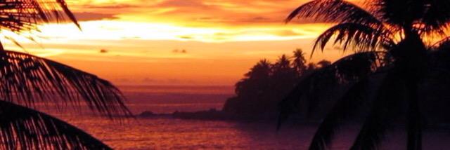 kaylee banner