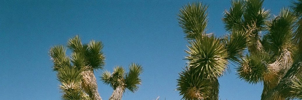 Antjonez banner