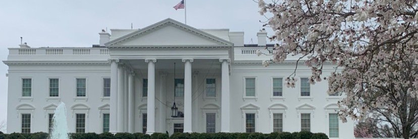 Courtney Subramanian banner