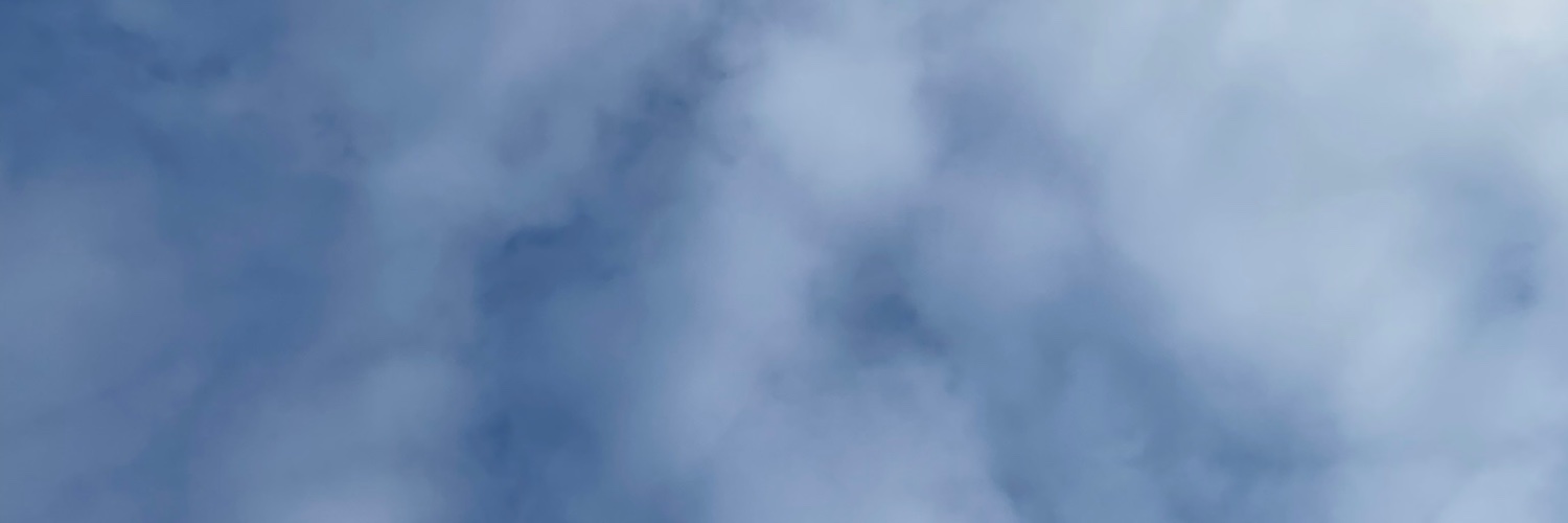 琴羽 Next⇒無題's banner