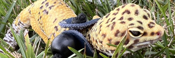 azrielen Profile Banner