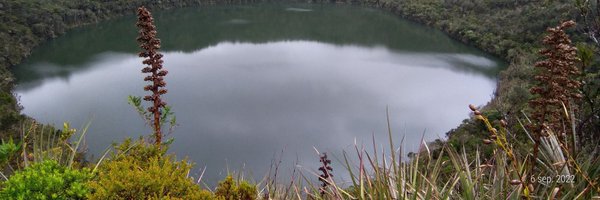 neshortua Profile Banner