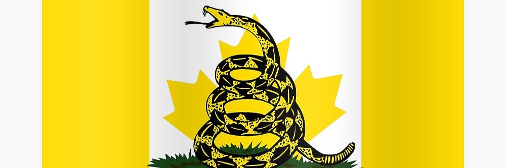 Veterans United banner