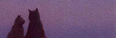 zuleikha's profile banner image