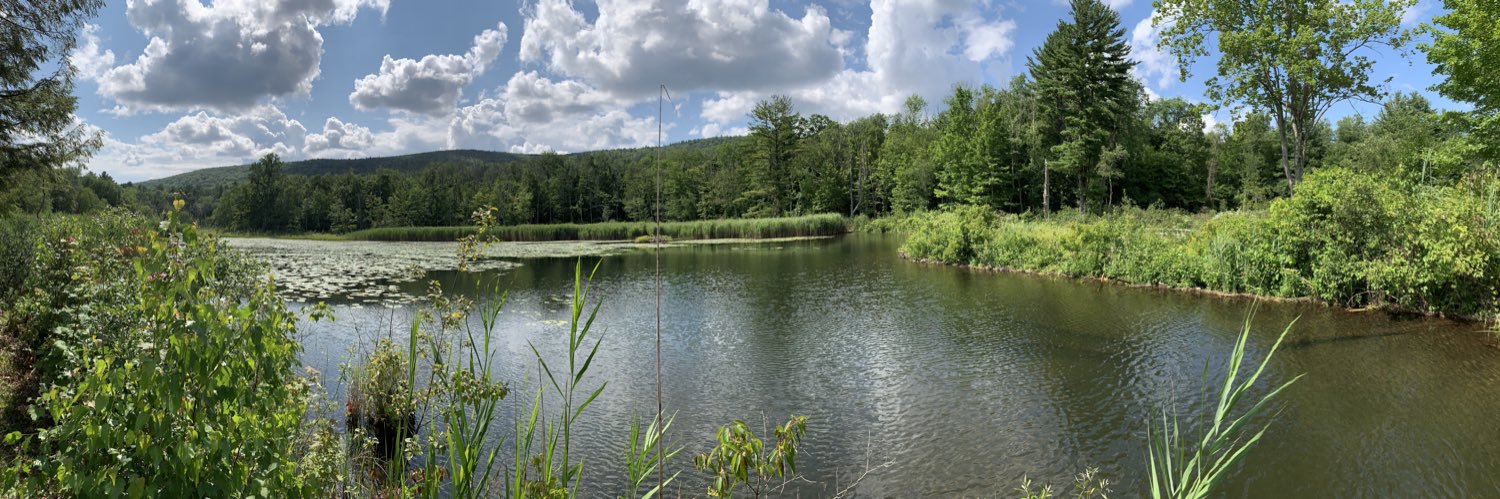 Jessica Stokes banner