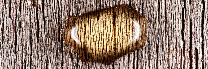 EnioComoa's profile banner image