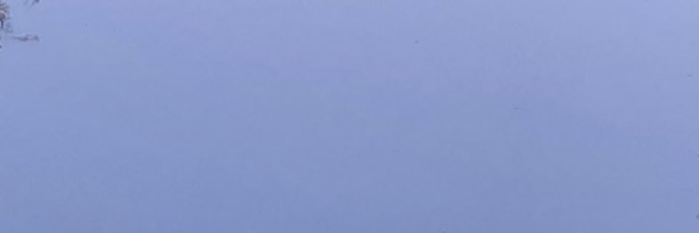 WendySteph's profile banner image