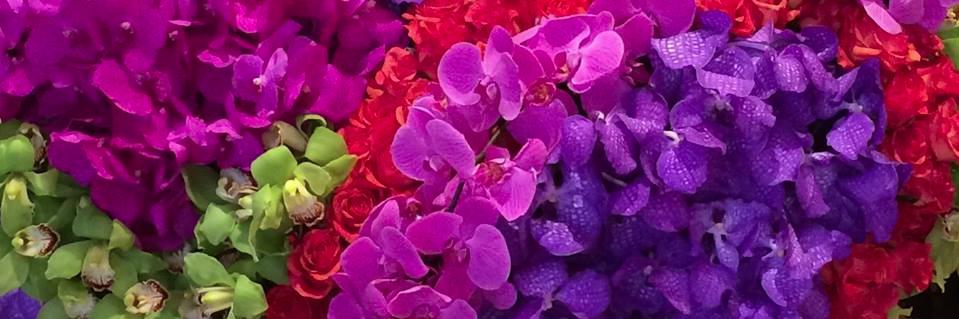 SicolasFlorist's profile banner image