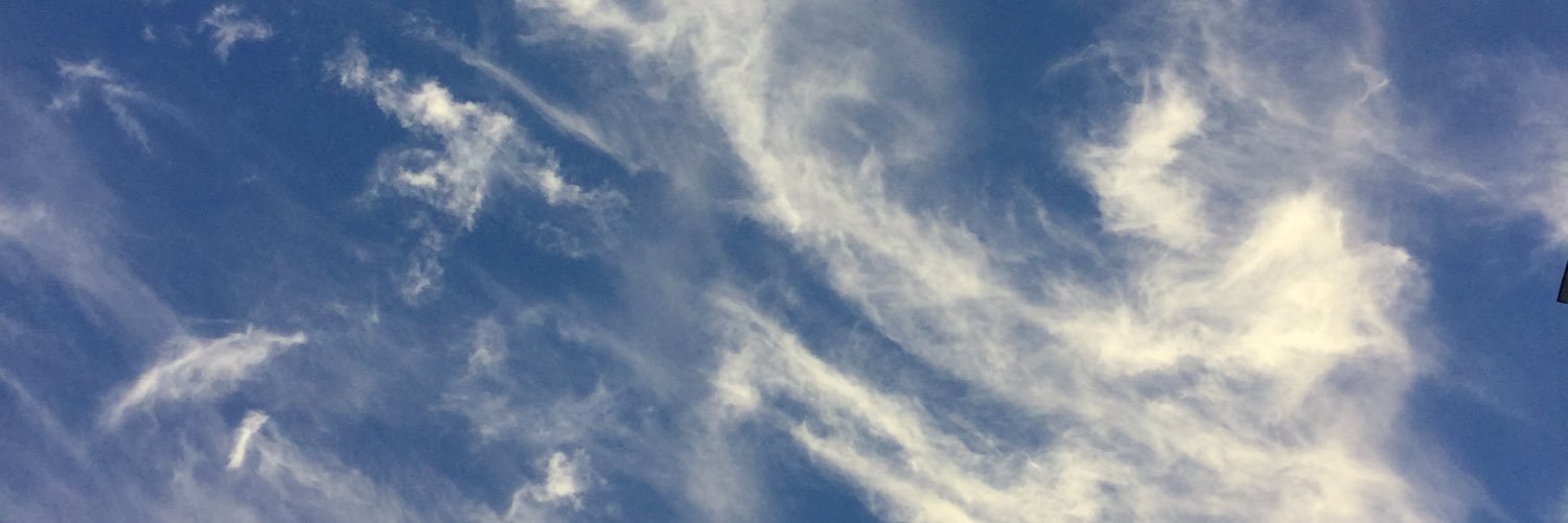 berryp70's profile banner image