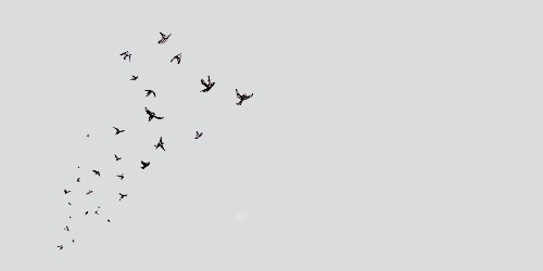 coliveros12's profile banner image